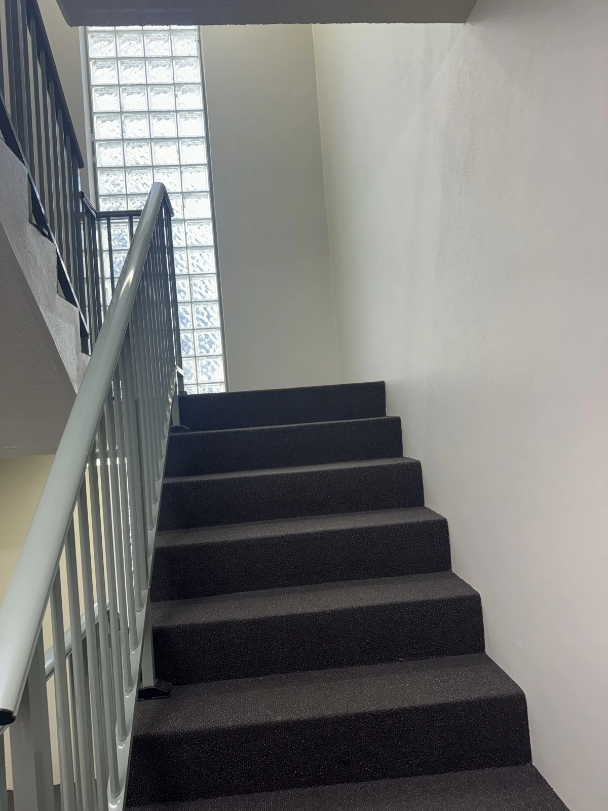Painted wall and handrail beside stairs at Avoca Palms